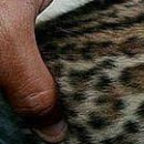 Віка Костевка фотография #26 (источник - https://vk.com/id151551439)