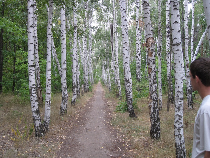 Сергей Терентьев фотография #17