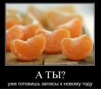 Фотография Альпдоган Елены