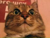 Фотография Дорофеева Геннадия