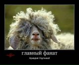 Софья Раппа фотография #6 (источник - https://vk.com/id3152804)