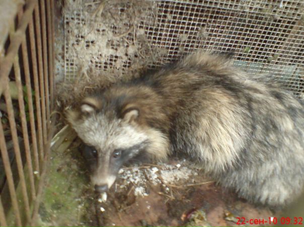 Александр Минченков фото №22