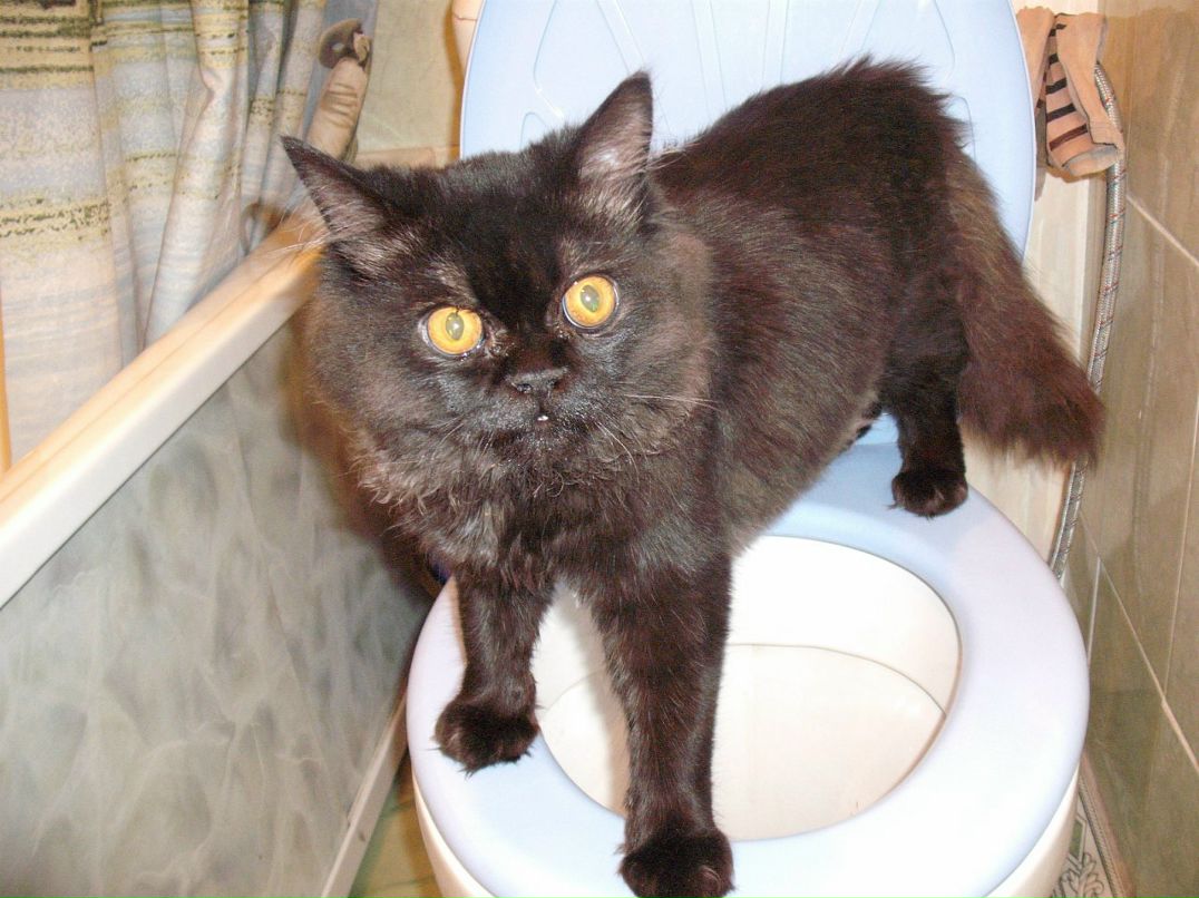 Владислав Плотников фотография #8