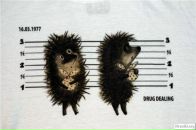 Фотография Анисимов Александр