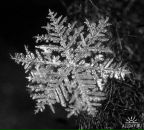 Фотография Солодки Людмилы