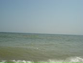 Галіна Харко фотография #33 (источник - https://vk.com/id25403111)