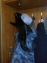 Игорь Васильев фотография #40 (источник - https://vk.com/id2295620)