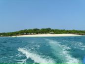 Фотография Телешева Димы