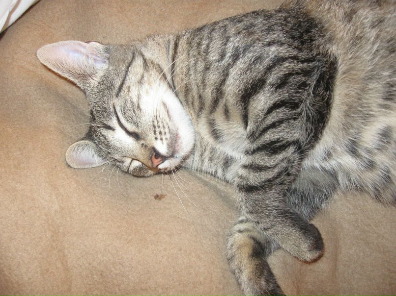 Катя Fr фотография #29