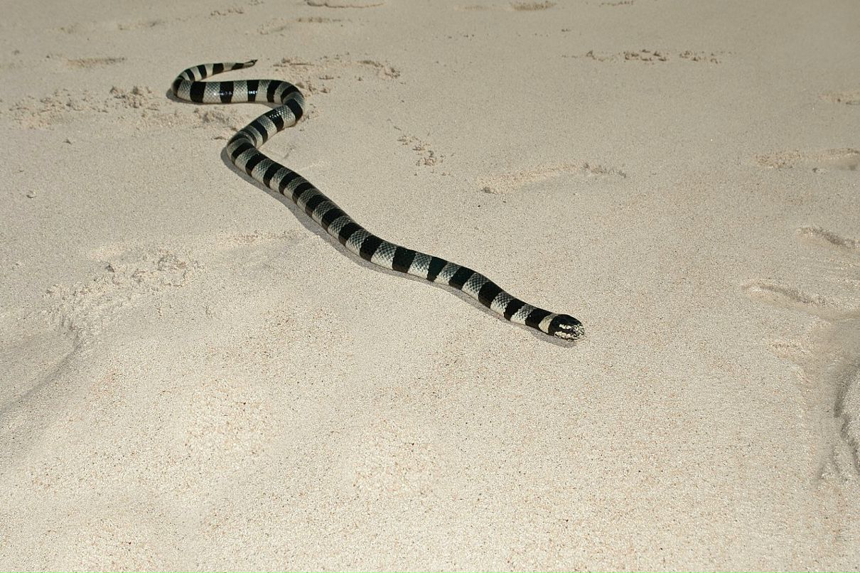 Антон Феев фотография #13