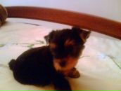 Фотография Овчинниковой Дарьи