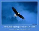 Тарас Бойків фотография #18 (источник - https://vk.com/id16461180)