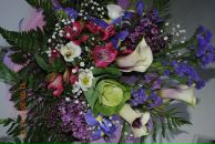 Фотография Хаврониной Александры