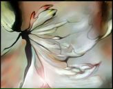 Фотография Ахмадиевой Елены