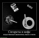 Фотография Фрольковой Ирины