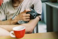 Фотография Vikulaite Katrin