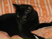 Фотография Полякова Артёма