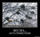 Дмитрий Винник фотография #31 (источник - https://vk.com/id26933235)