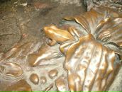 Фотография Кузнецовой Ольги