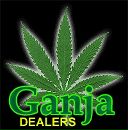 Діма Невірковець фотография #12 (источник - https://vk.com/id86544196)