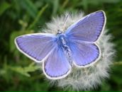 Фотография Гусаровой Марии