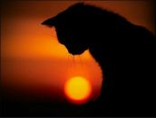 Фотография Капралова Владимира