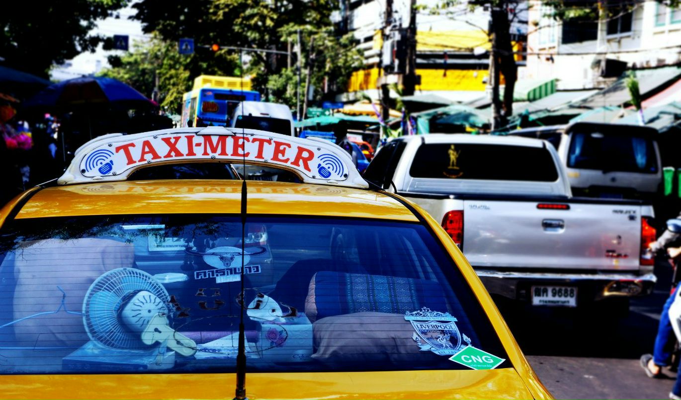 Misha Ross фотография #5