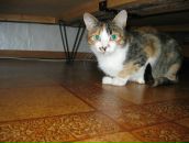 Фотография Мелдовой Марины