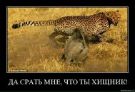 Ніна Пригарська фотография #44 (источник - https://vk.com/id38162901)