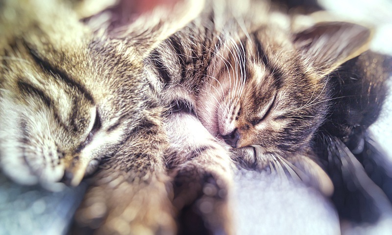 Олег Бойко фотография #23