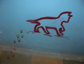 Фотография Ильиной Александры