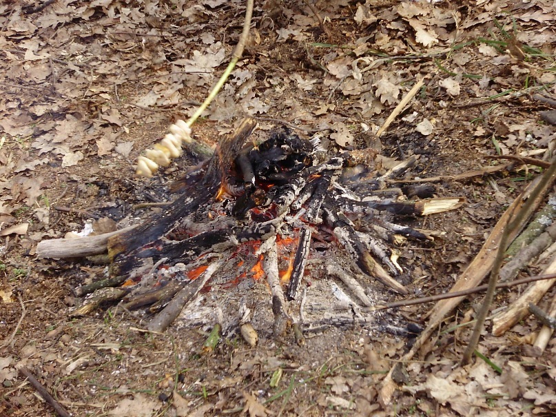 Фрейд Парсон фотография #46