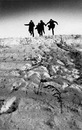 Фотография Баринова Павла