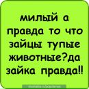 Місько Юринець фотография #22 (источник - https://vk.com/id136224879)