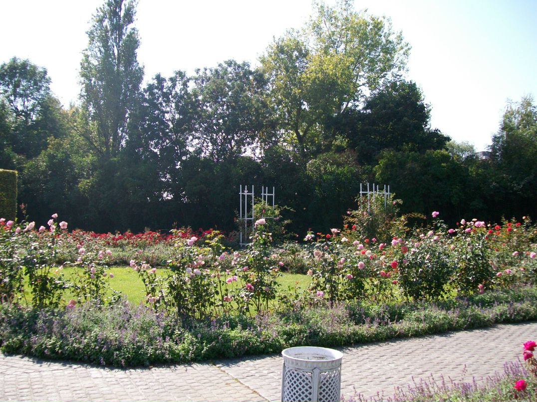 Дмитрий Яковлев фотография #31