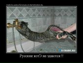 Дмитрий Исаков фотография #45 (источник - https://vk.com/id2902710)