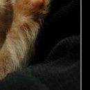 Марія Ткачук фотография #31 (источник - https://vk.com/id62966182)