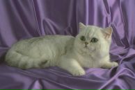 Маша Залінська фотография #2 (источник - https://vk.com/id134842129)