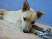 Фотография Супониной Ольги