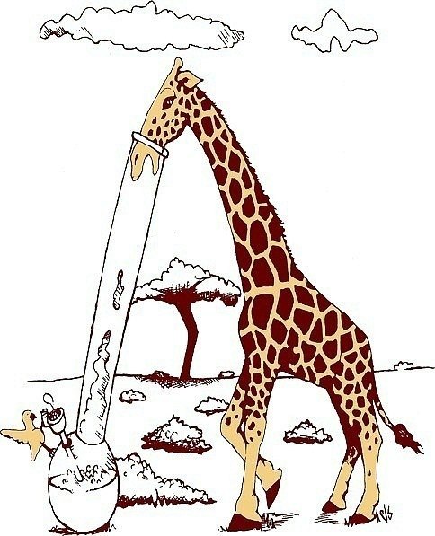 №20, Стас Солдатенков №20, Стас Солдатенков