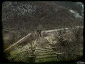 Фотография Чекарева Дмитрия