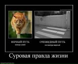 Орися Павлівченко фотография #50 (источник - https://vk.com/id70011075)
