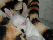 Фотография Третьяк Ирины