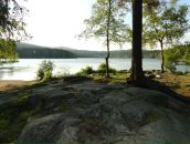 Дмитрий Плосконосов фотография #45 (источник - https://vk.com/id9505679)