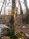 Виталік Тесленко фотография #44 (источник - https://vk.com/id141132192)