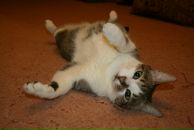 Фотография Шакуровой Ирины