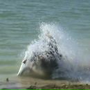 Фотография Забараки Сергея