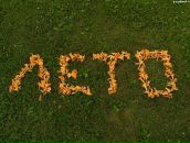 Фотография Токарева Дмитрия