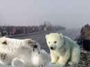 Валентин Тимків фотография #8 (источник - https://vk.com/id77381666)