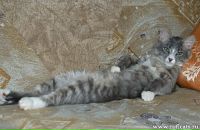 Дашуня Радзіцька фотография #44 (источник - https://vk.com/id134279314)